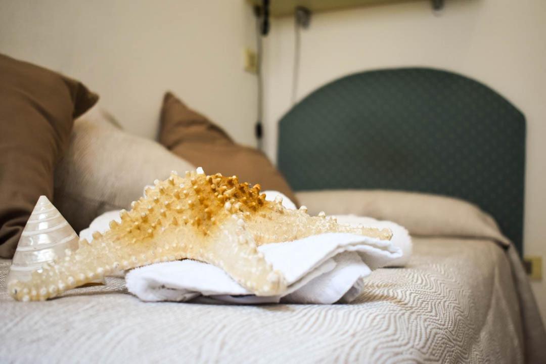 פסארו Hotel Embassy מראה חיצוני תמונה